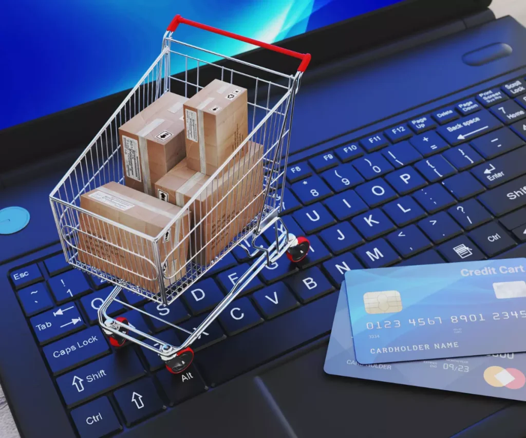 E-ticaret kategorisi açıklaması